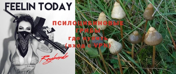 МДМА Медвежьегорск