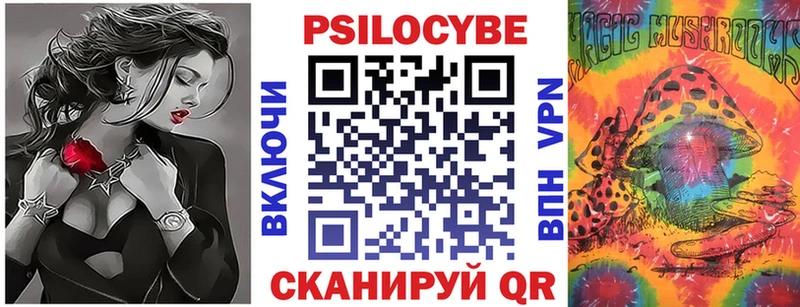 OMG как войти  Покачи  Псилоцибиновые грибы мицелий 